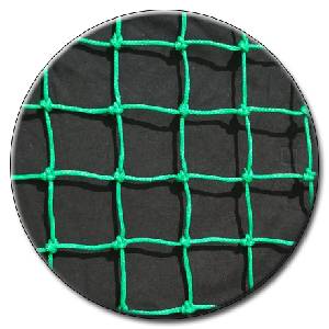 ienet